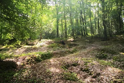 Image 2
