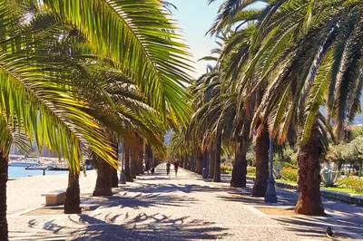 La Spezia Music Walk: City Tour with Italian Music