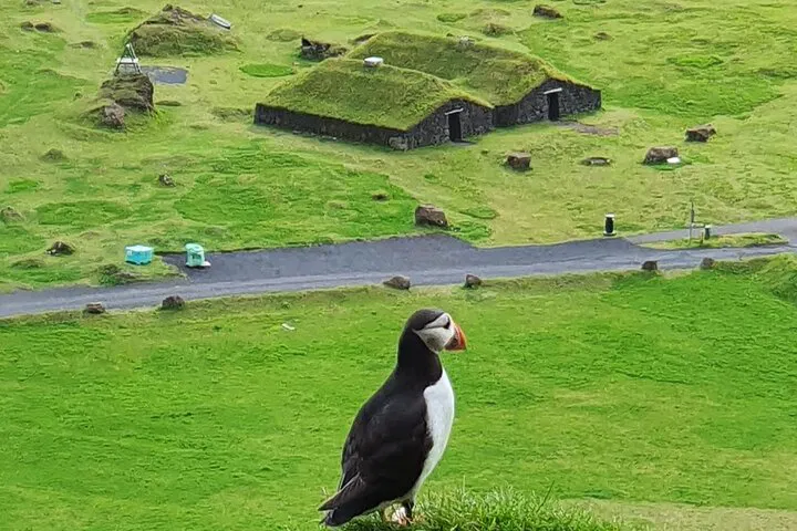 img0