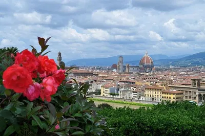 Unveiling Florence: A Private Day of Renaissance Wonders from Rome