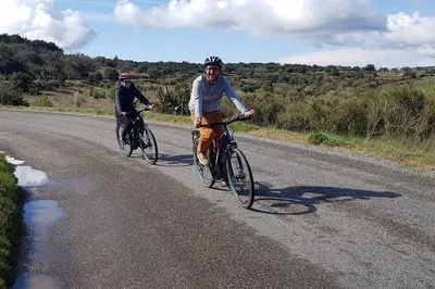 Explore Luberon's Beauty: Electric Bike Adventures Await!