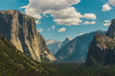 Alcatraz, Yosemite, & Aquarium: A Triple Adventure from San Francisco!