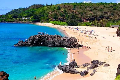 Discover Oahu's Beauty: Circle Island Tour with Turtle Snorkeling!