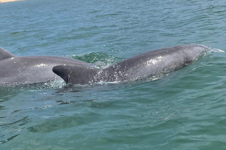 Experience Image img4