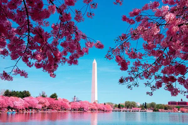 DC Monuments Tour & River Cruise: See Top Landmarks!