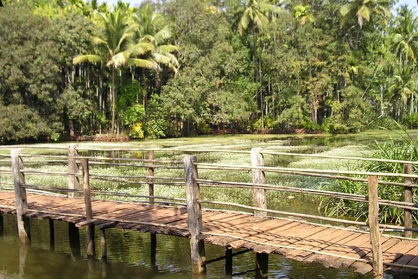 Unveiling South Goa's Splendor: A Guided Cultural & Spice Adventure