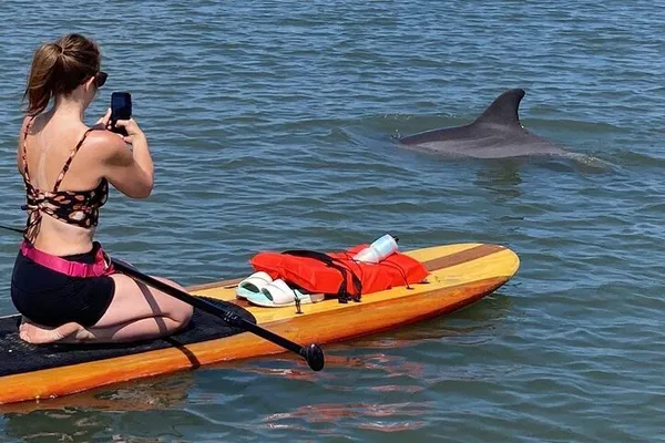 Osprey's Aquatic Adventure: Dolphins, Manatees, and Florida History Await!