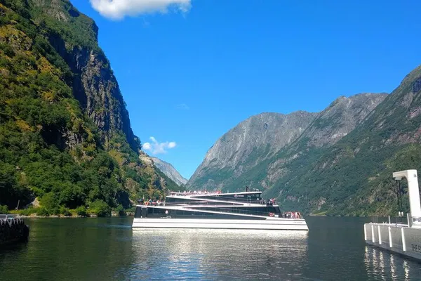 Unforgettable Bergen: Private Fjord & Railway Adventure to Flåm
