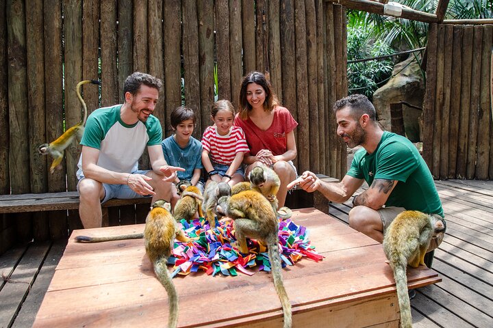 Experience Image img1