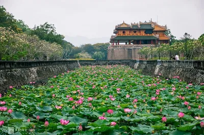 Explore Hue's Imperial Citadel: A Full-Day Cultural Immersion from Da Nang