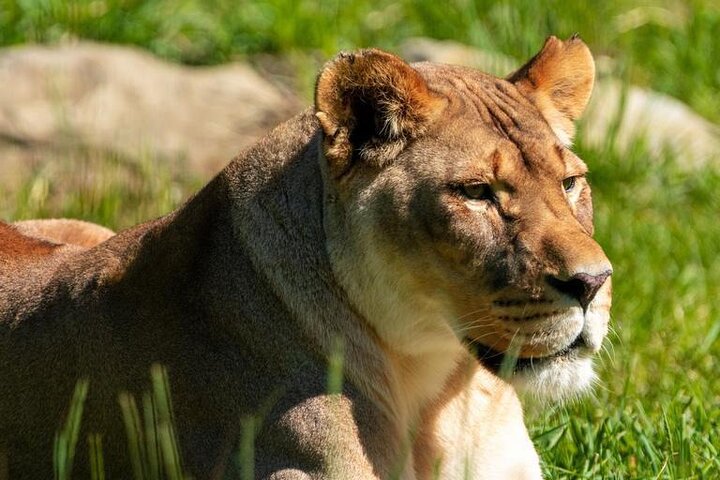 Experience Image img2