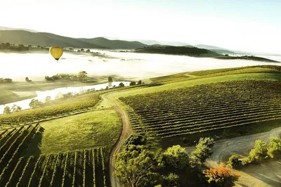 Luxury Escape: Mount Dandenong & Yarra Valley Winery Private Tour