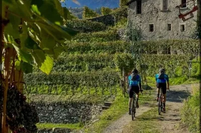 Como to Valtellina: Wine & E-Bike Vineyard Tour