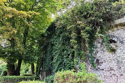 Image 2