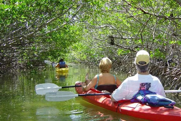 Key West Kayak Tour: Mangrove Eco-Adventure!