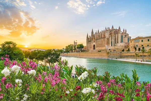 Unforgettable Palma de Mallorca: Private Shore Excursion Awaits!