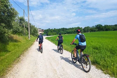 E-Bike & Wine Tour: Desenzano's Hidden Gems