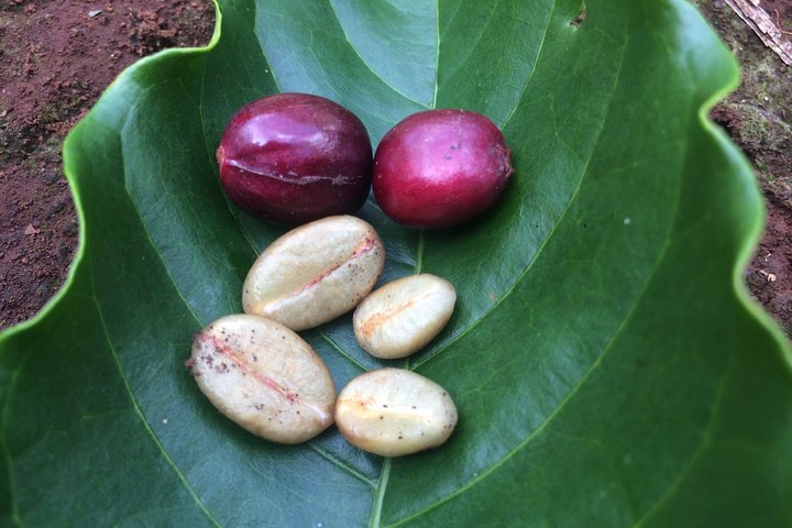 Experience Image img4