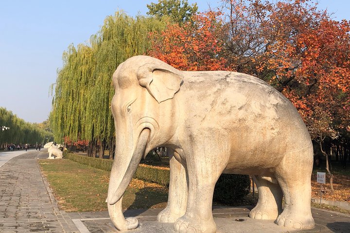 Experience Image img4