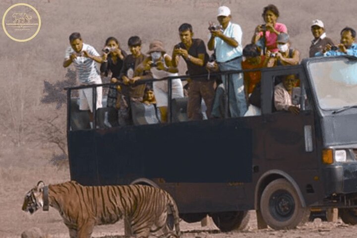 Experience Image img4