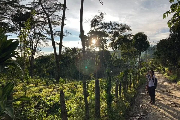 Discover Salento's Birds & Brews: A Coffee Region Expedition