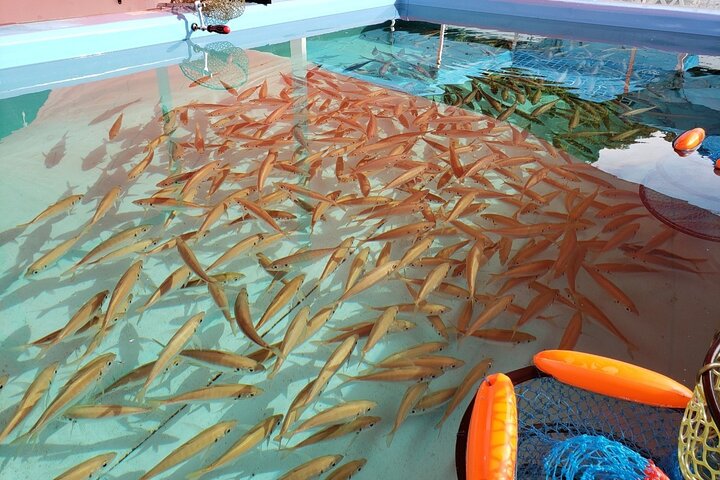 Experience Image img2