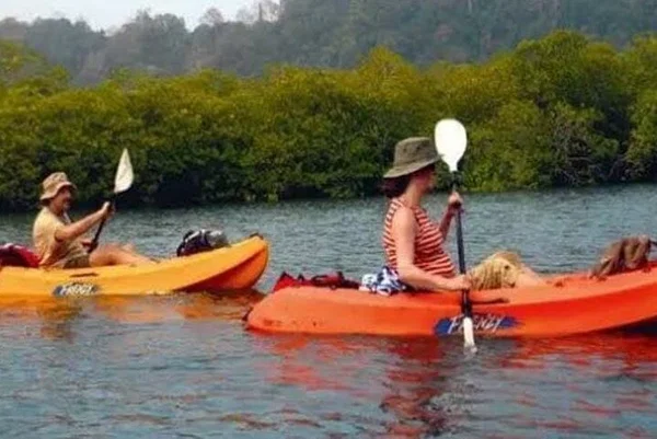 Havelock's Mangrove Magic: Kayaking Adventure
