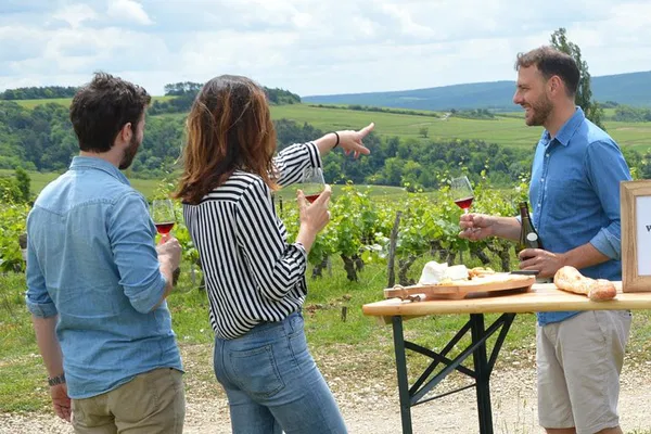 Chablis & Burgundy Wine Tour: Taste France's Best!
