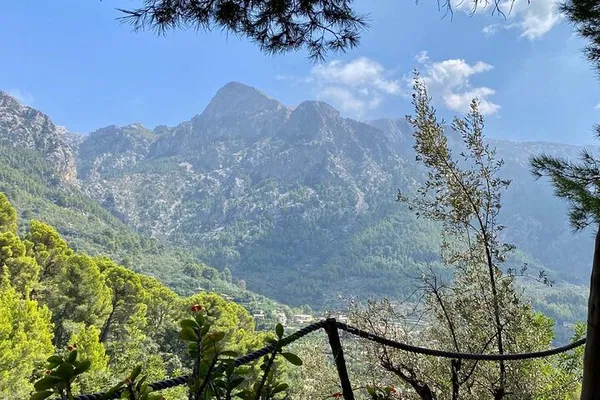 Unleash Your Inner Artist: Pottery & Serenity in Mallorca's Natural Beauty