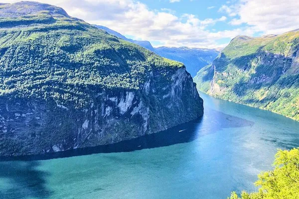 Oslo Fjord Tour: Private Trip with Flåm Railway