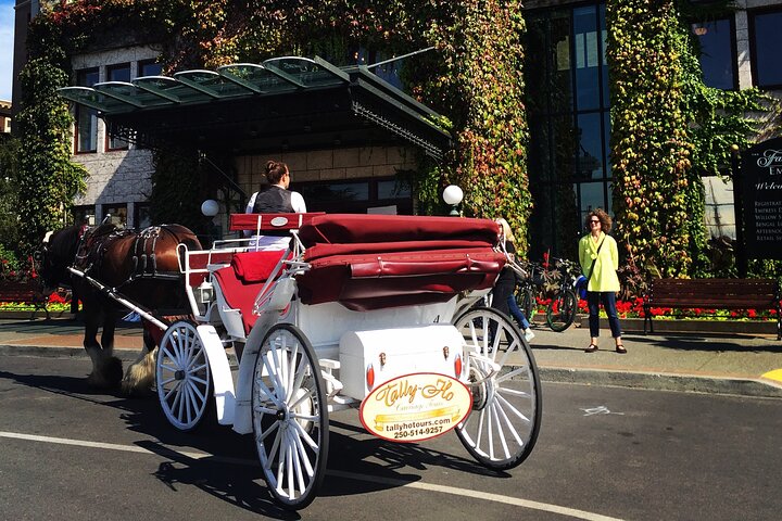 Experience Image img3