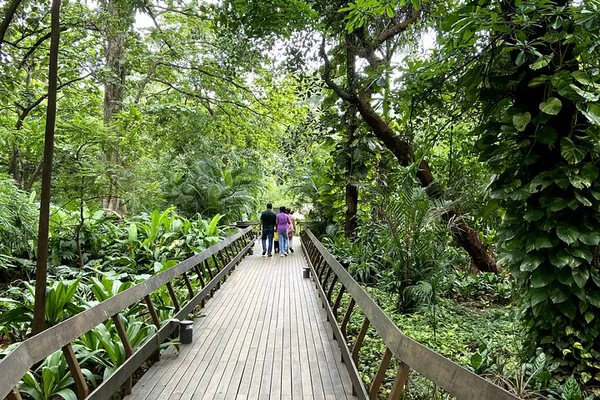 Ancient Texts & Fragrance Walk: Delhi's Hidden Botany