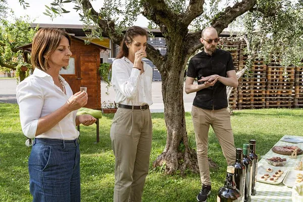 Discover Lake Garda's Liquid Gold: An Olive Oil Tour & Tasting Adventure