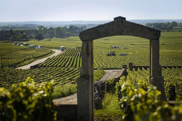 Burgundy Wine Tour: Taste Premier & Grand Crus!