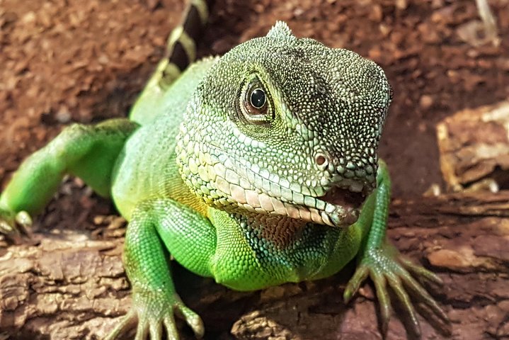 Experience Image img3