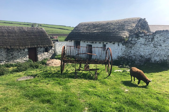 Experience Image img2