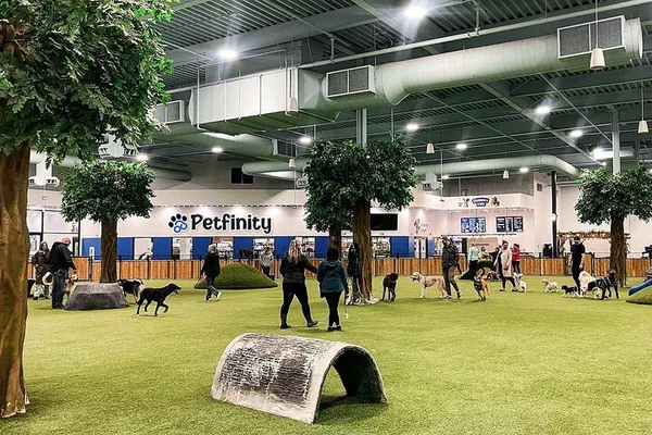 Calgary's Petfinity Indoor Dog Park: Year-Round Fun!