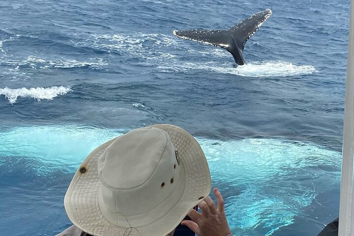 Experience Image img3
