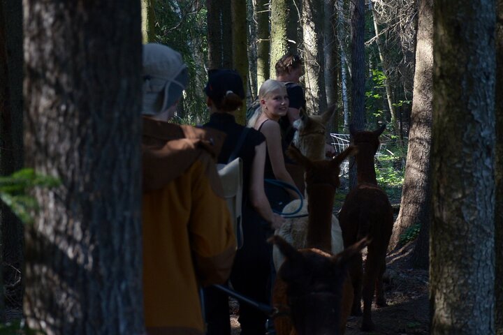 Experience Image img2