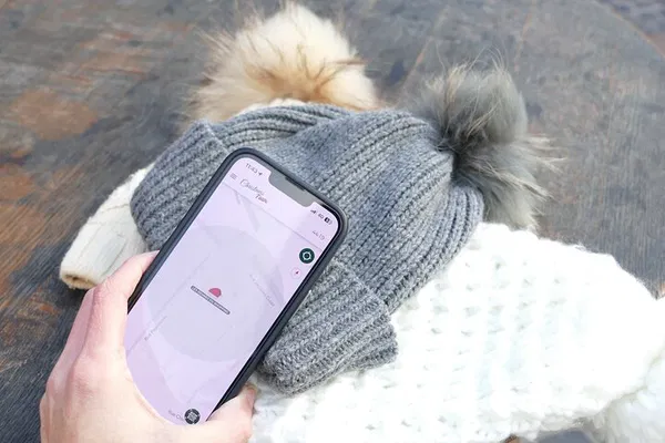 Toulouse Christmas Market Quest: A Festive Smartphone Adventure!