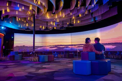 FloridaRAMA: Dive into St. Pete's Immersive Art Wonderland!