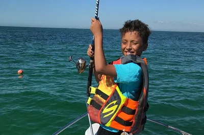 Cast Away on an Anna Maria Island Fishing & Sightseeing Adventure!