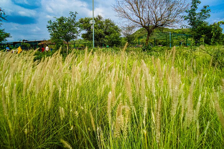 Experience Image img1