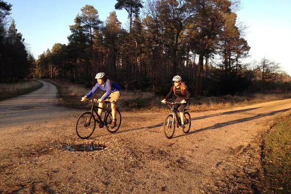 New Forest Sunset Bike Rides: Twilight Adventures Await!