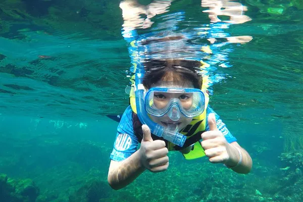 Private Cenotes Tour: Swim & Snorkel, Beat the Crowds