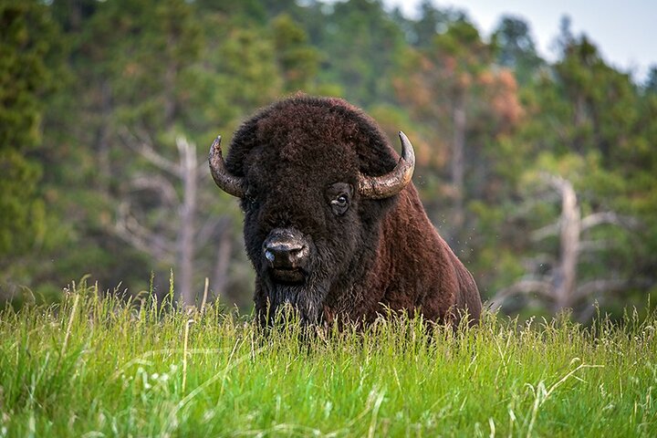 Experience Image img4