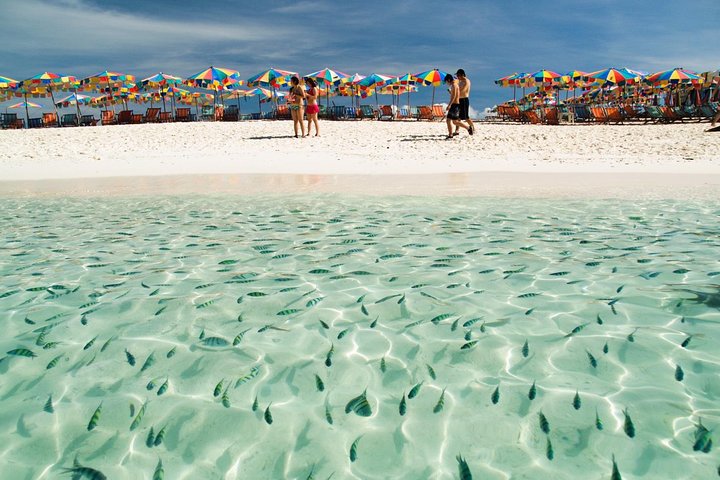 Phuket's Paradise Found: Khai Island Speedboat Adventure