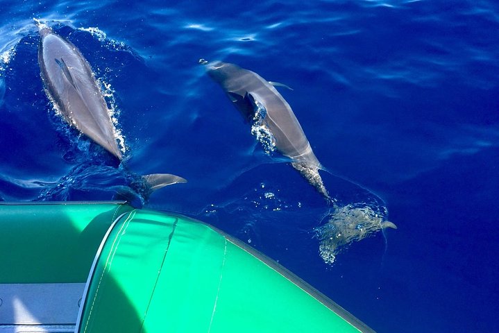 Experience Image img2