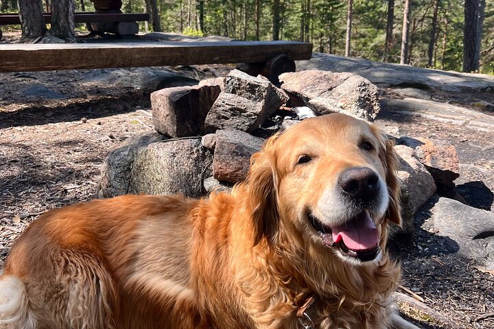 Experience Image img1