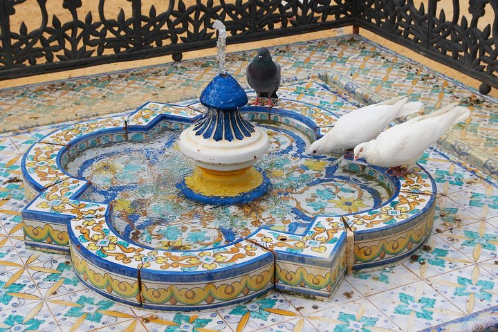 Experience Image img3